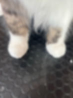 ReLens_IMG_20260615190852.JPEG