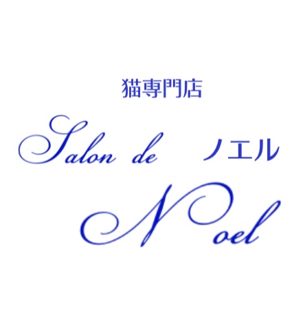 IMG_0795.PNG
